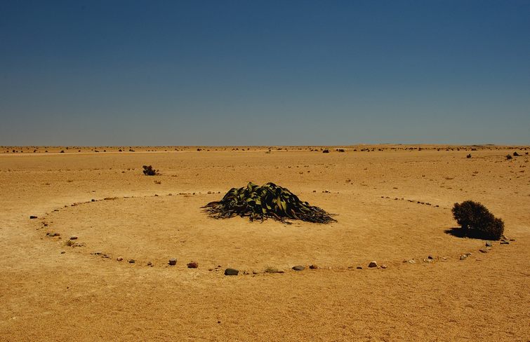 471 Namibia Okt 2006 .JPG